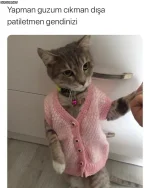 1647203922959.webp