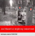 images (3).jpeg