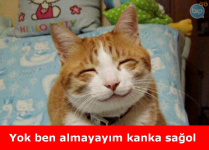 1648064129434.png
