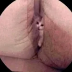 MvkkY0sS_400x400.webp