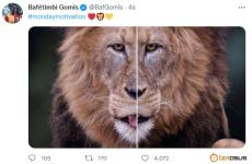 1648528910271.png