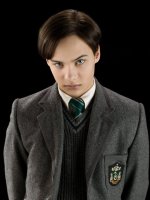 teenage-tom-riddle-half-blood-prince-portrait-2-1050x0-c-default.jpg