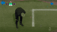 1649276632312.gif