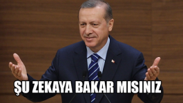 zekaya bak.png
