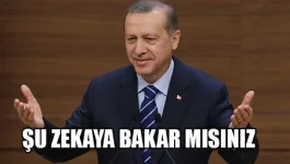 zekaya bak.webp