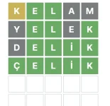 1650747894237.webp