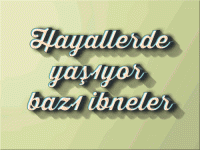 1651509460048.gif