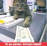 images (39).webp