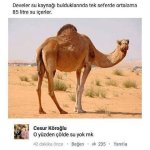 images-193.jpeg