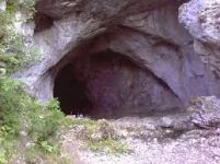 1651834464680.webp