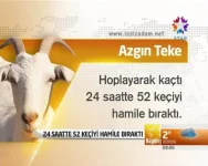 images (27).webp