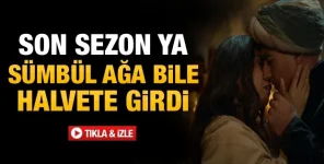 1652175189034.webp
