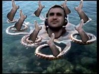 xyzdf.jpg