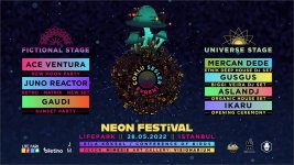 Neon Festival.jpg