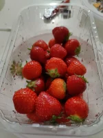 IMG20220520202923.webp