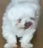 Screenshot_20220531-232815_Chrome.webp