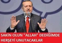 1654063713838.webp