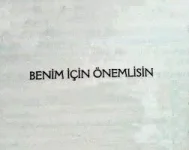 1654081868796.webp
