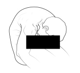 1654281529755.png
