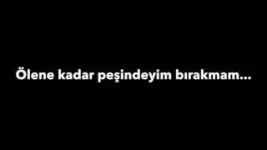 images (93).webp