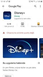 Screenshot_20220614-014002_Google Play Store.webp