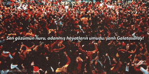tumblr_p2g9keUU4W1uaprtto1_500.gif