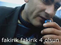 1656683499519.png