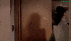 766.gif