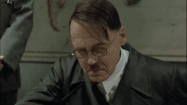 GranularNaughtyBarnswallow-max-1mb.gif