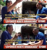 1657873760033.webp