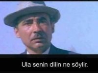 images (9).jpeg