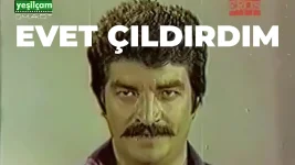 1659432185174.webp