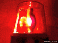 IMG_1337.gif IMG_1337.gif