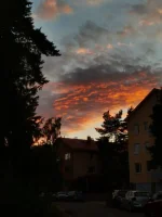 IMG_20220808_212847.webp