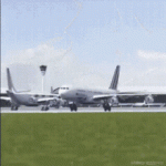 plane-bird.gif