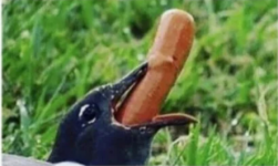1661343833702.png
