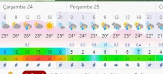 1661363979350.webp
