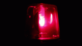 IMG_1665.gif