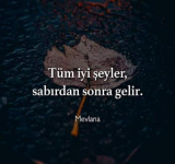 1662117280590.png
