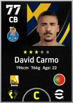 David Carmo.webp