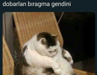 1662321726171.png