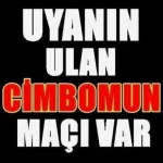 52201693-5614-4519-A489-B241E1C61A7D.webp
