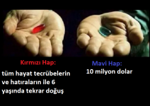 1664113177815.png