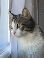 IMG-20220809-WA0001.webp IMG-20220809-WA0001.webp