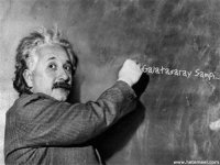 einsteinshow.jpg
