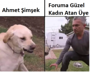 1666271071820.png
