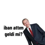 1667396805164.webp