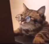 1667681523412.png