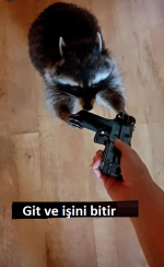1667998187459.png