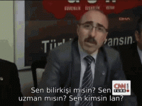 1668003043289.gif
